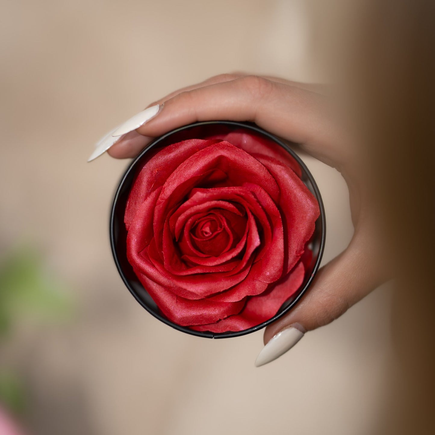 La Rose | Scandal