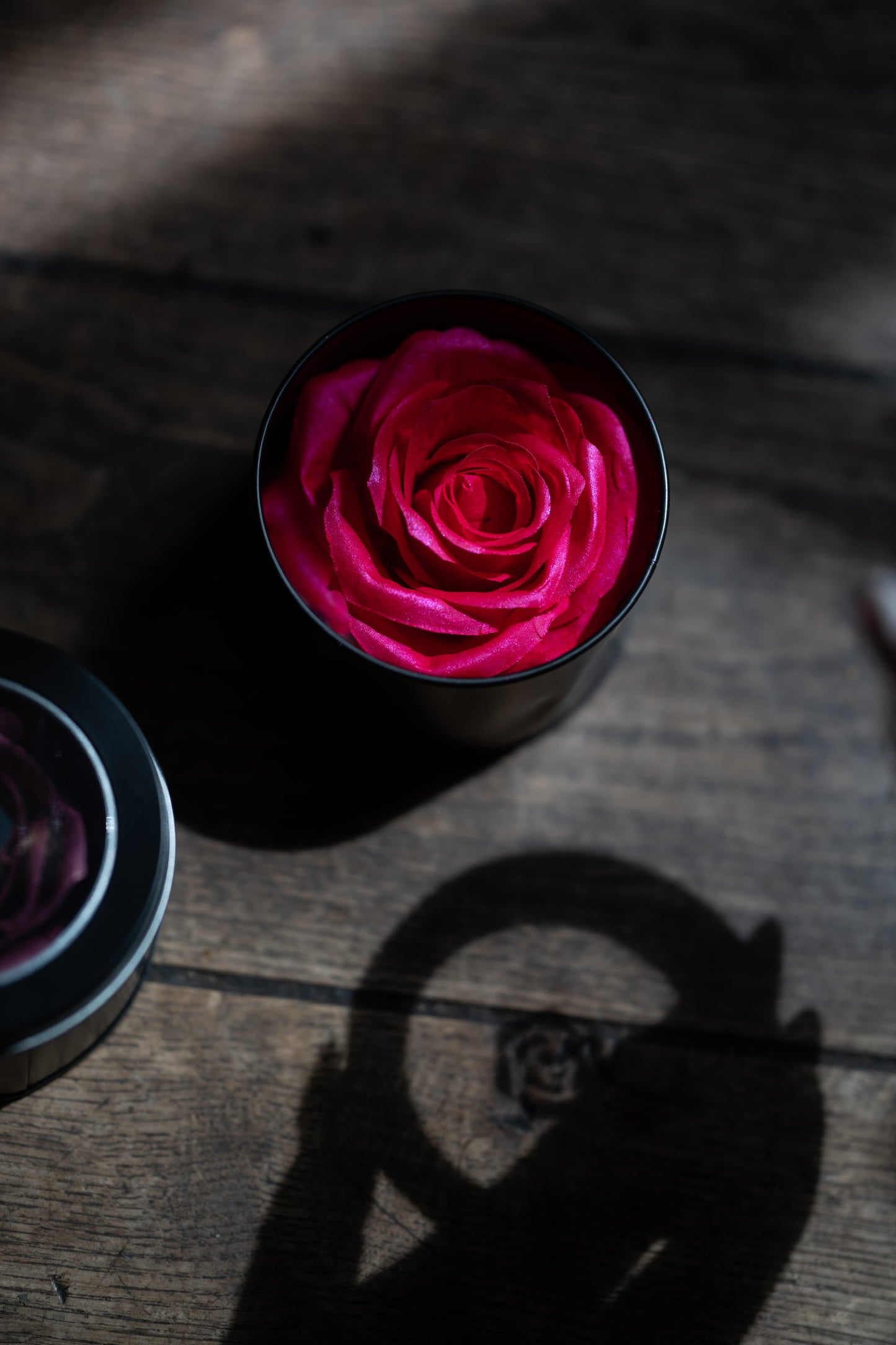 La Rose | Pink