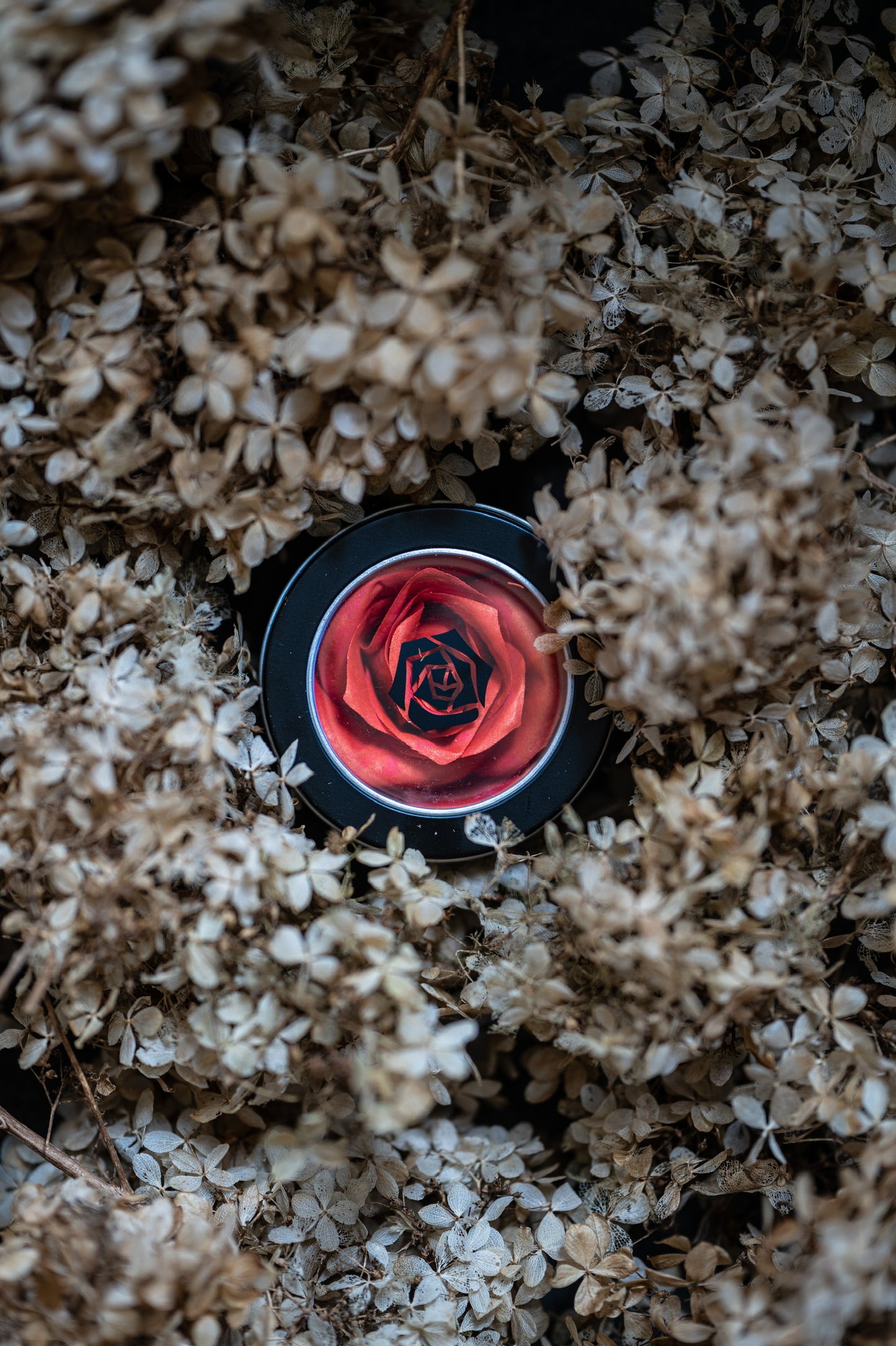 La Rose | Peach