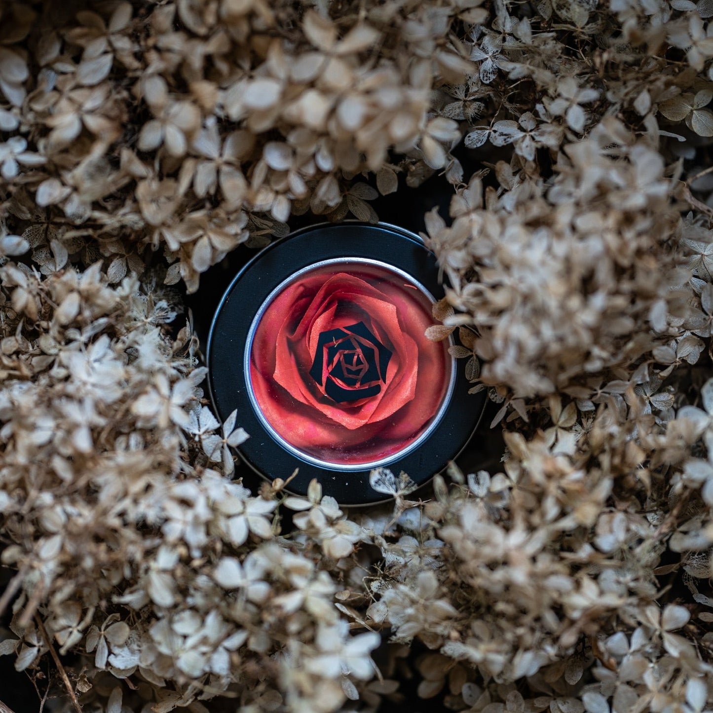 La Rose | Peach Please