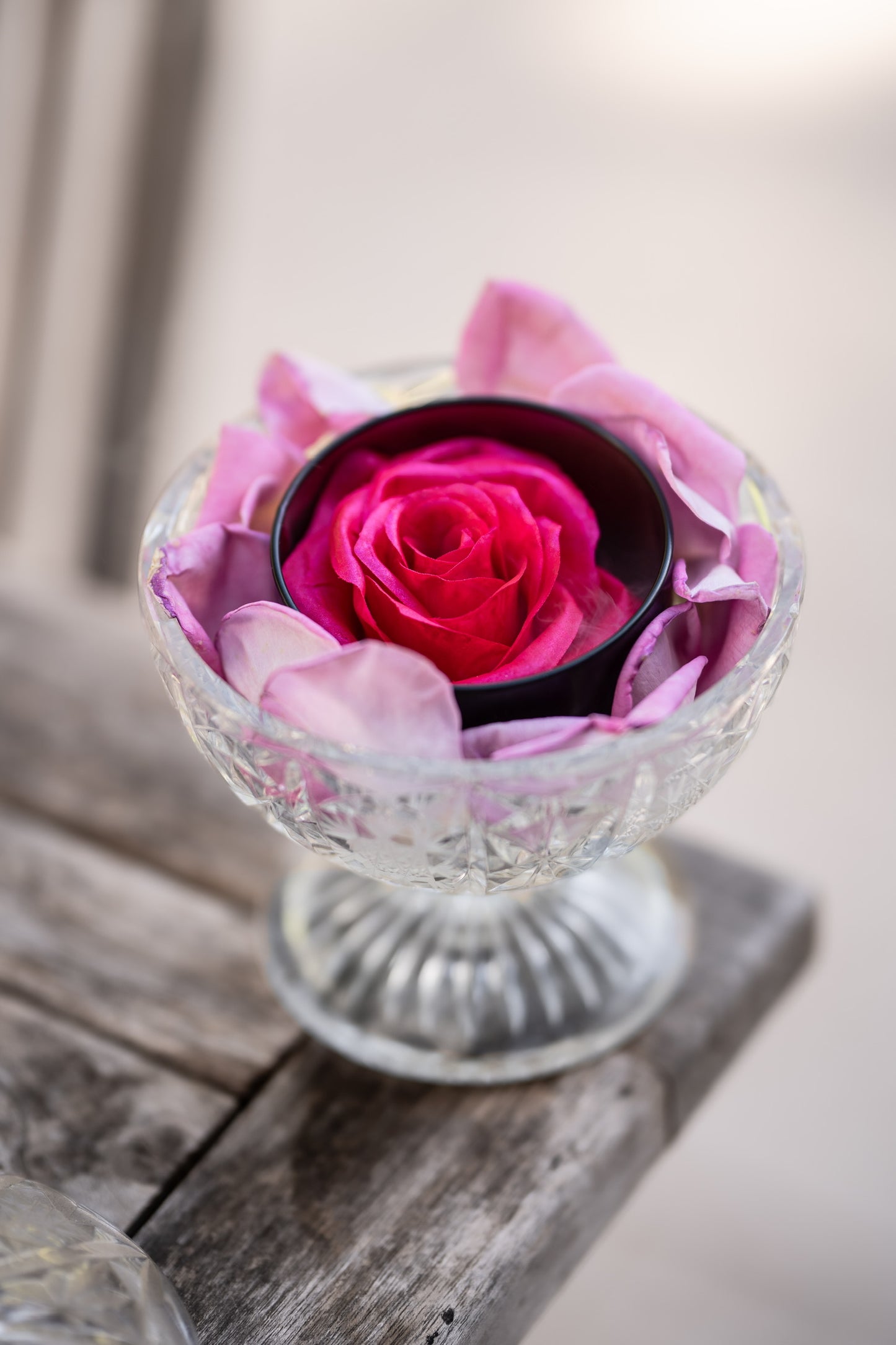 La Rose | Pink