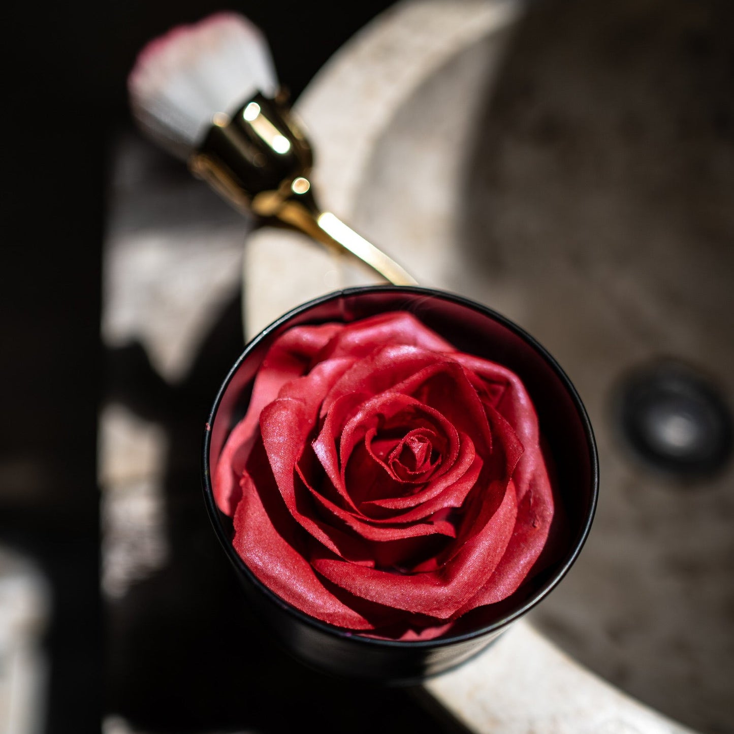 La Rose | Scandal