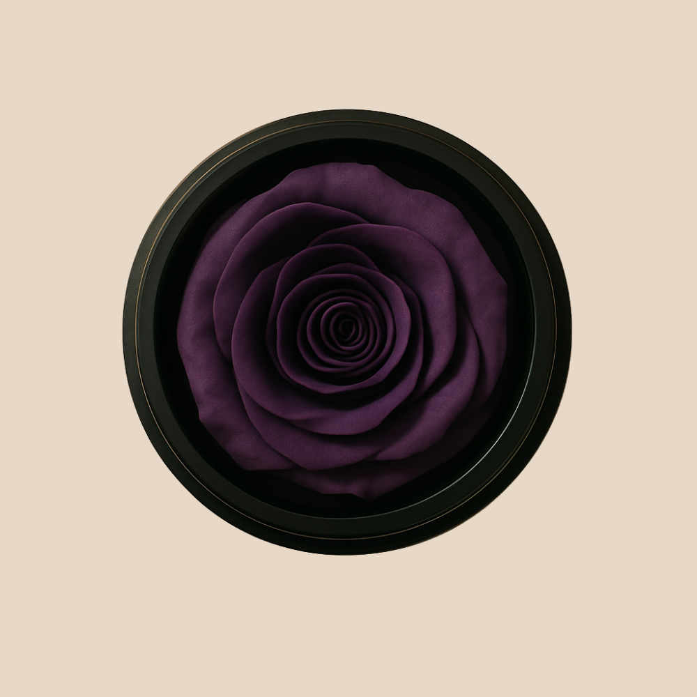La Rose | Scandal
