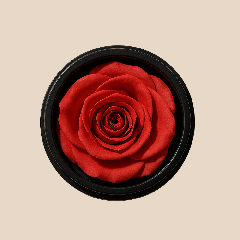 La Rose | Scandal