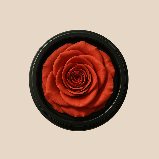 La Rose | Peach Please