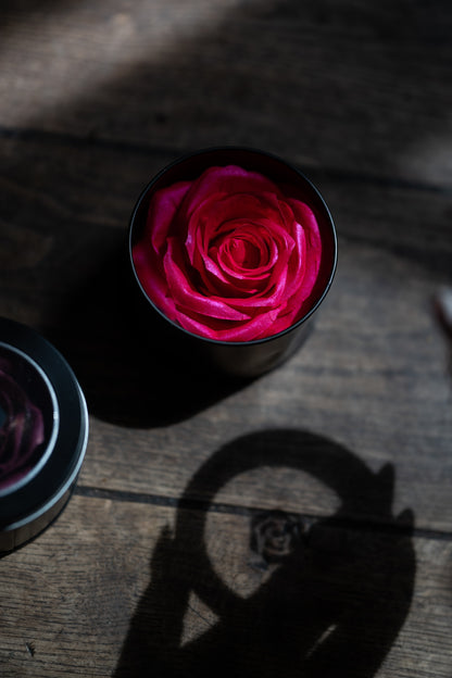 La Rose | Pink